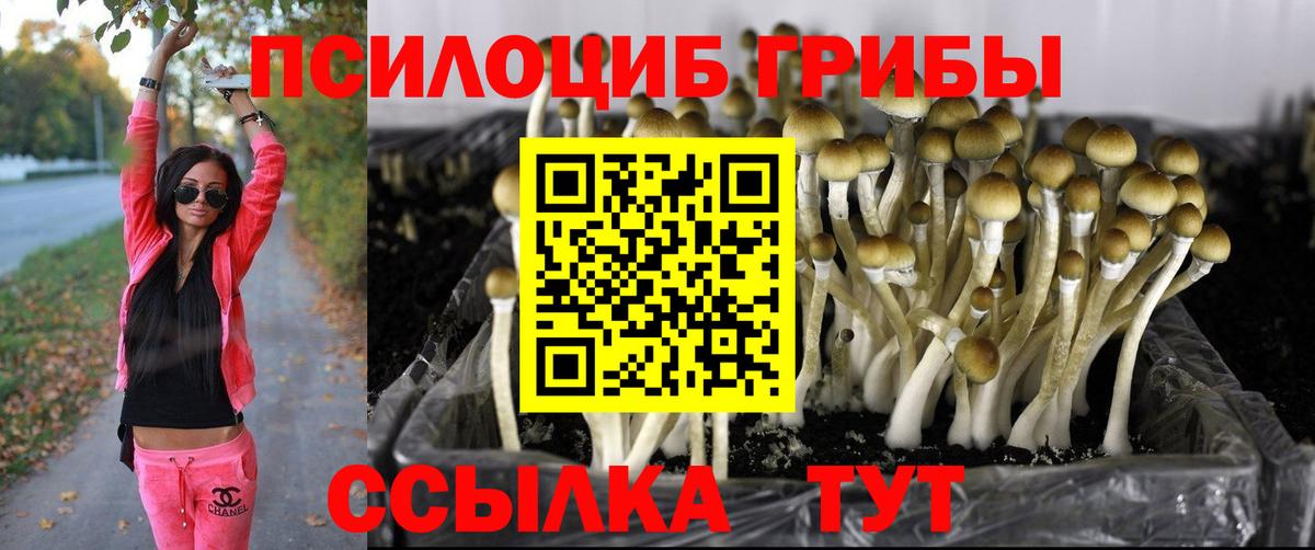 Псилоцибиновые грибы Psilocybine cubensis  Вход с VPN  Шарыпово 